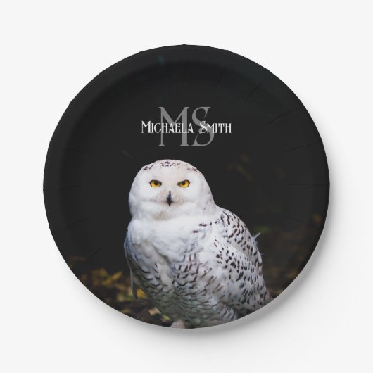 Majestätischer Winterschneeauuler Monogramm-indivi Pappteller (Vorderseite)