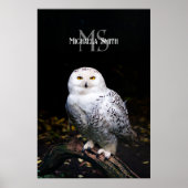 Majestätischer Winterschneeauuler Monogramm-indivi Poster (Vorne)