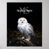 Majestätischer Winterschneeauuler Monogramm-indivi Poster (Vorne)