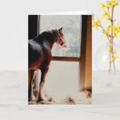 Majestätisches Clydesdale Karte (Gelbe Blume)