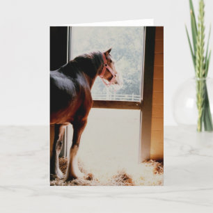 Majestätisches Clydesdale Karte