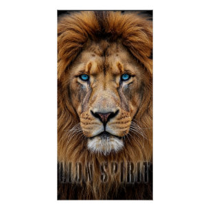 Majestätisches Löwengesicht mit blauen Augen Wil Poster