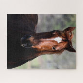 Majestätisches Pferdeprofil Puzzle (Horizontal)