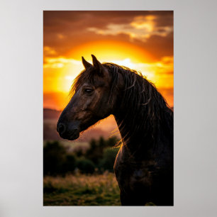 Majestätisches Schwarzes Pferd Sonnenuntergang Pos Poster