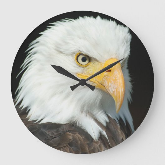 Majestätisches Weißkopfseeadler-Porträt Große Wanduhr (Vorderseite)