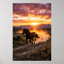 Majestätisches Wildpferd Sonnenuntergang Poster | 