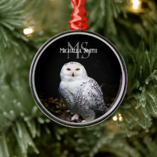 Majestätisches Winter-Schneeeulen-Monogramm mit in Ornament Aus Metall