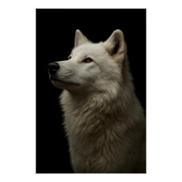 Majestätisches Wolf-Porträt Stärke & Königliches S Poster