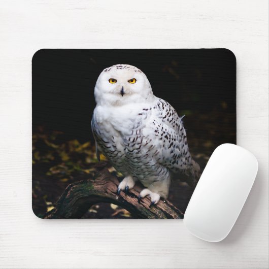 Majestätliche Winter-Schnee-Eule Mousepad (Mit Mouse)