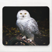 Majestätliche Winter-Schnee-Eule Mousepad (Vorne)