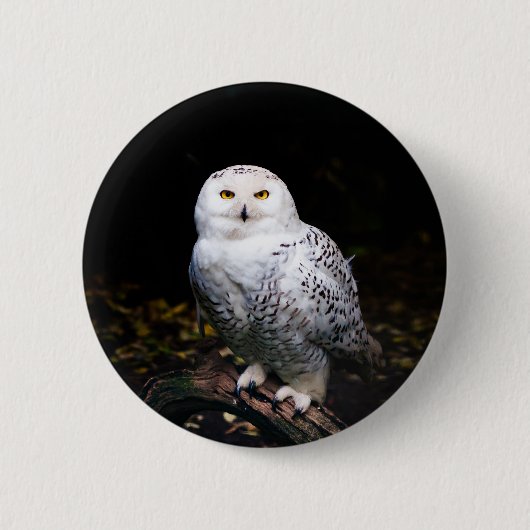 Majestätliche Winter-Schneeeule Button (Vorderseite)