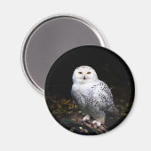 Majestätliche Winter-Schneeeule Magnet (Vorderseite/Rückseite)