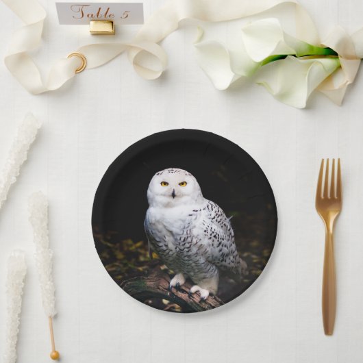 Majestätliche Winter-Schneeeule Pappteller (Hochzeit)
