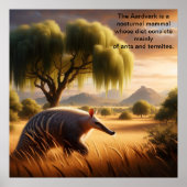Majestic Aardvark in Sunlit Field Poster (Vorne)