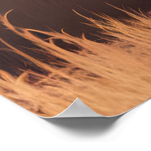 Majestic Aardvark Roam the Arid Plains Poster (Ecke)