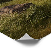 Majestic Aardvark Roaming Green Landschaft Poster (Ecke)