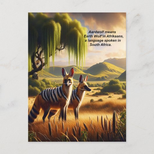 Majestic Aardwolf Grasslands Postkarte (Vorderseite)