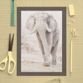 Majestic African Elephant Fotografy Seidenpapier