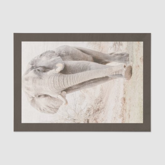 Majestic African Elephant Fotografy Seidenpapier (Vorderseite)