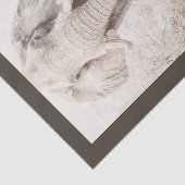 Majestic African Elephant Fotografy Seidenpapier (Ausschnitt)