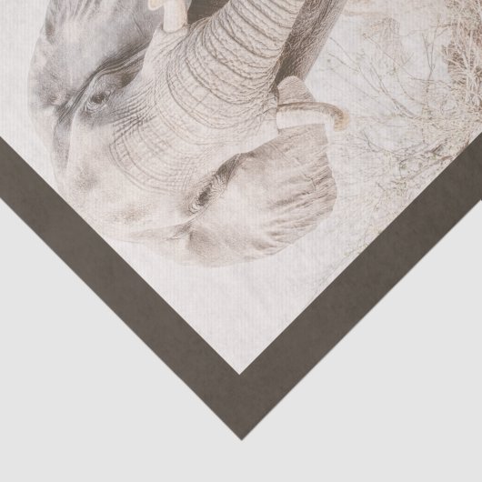 Majestic African Elephant Fotografy Seidenpapier (Ausschnitt)