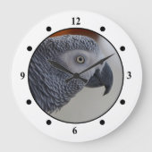 Majestic African Grey Parrot Große Wanduhr (Vorderseite)
