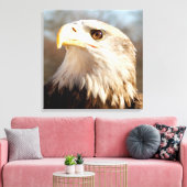 Majestic American Bald Eagle Closeup Leinwanddruck (Insitu (Wohnzimmer))