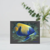 Majestic Angel Fish Postkarte (Stehend Vorderseite)