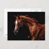 Majestic Arabian Postkarte (Vorne/Hinten)