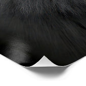 Majestic Arctic Wolf Portrait in High Contrast Bla Poster (Ecke)