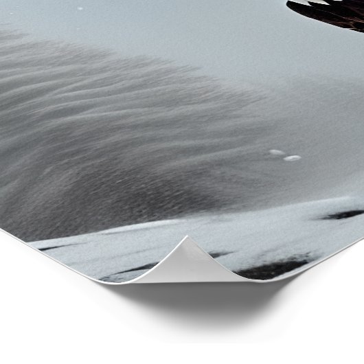 Majestic Bald Eagle Art Poster (Ecke)