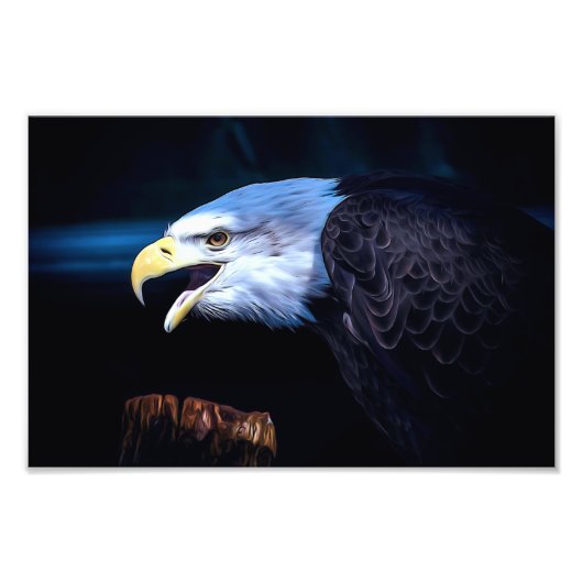 Majestic Bald Eagle Fotodruck (Vorne)