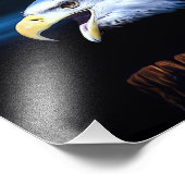 Majestic Bald Eagle Fotodruck (Ecke)