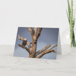 Majestic Bald Eagle Note Card