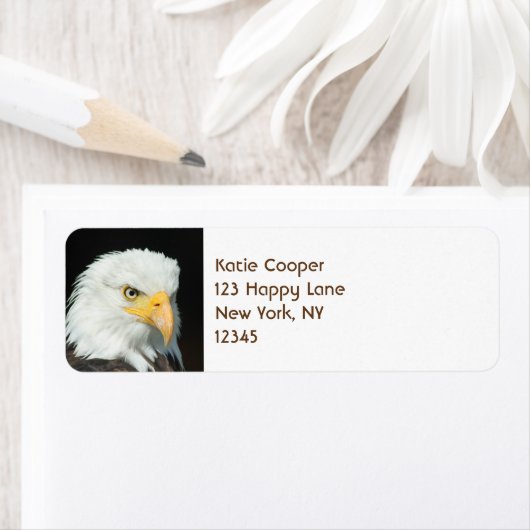 Majestic Bald Eagle Portrait (Insitu)