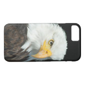 Majestic Bald Eagle Portrait Case-Mate iPhone Hülle (Rückseite (Horizontal))