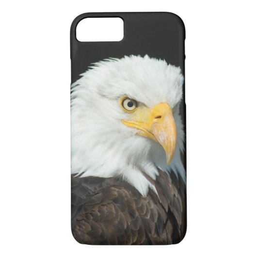 Majestic Bald Eagle Portrait Case-Mate iPhone Hülle (Rückseite)