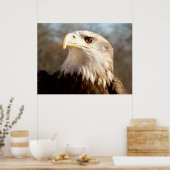 Majestic Bald Eagle Poster (Küche)