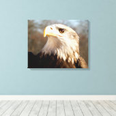 Majestic Bald Eagle Profil Leinwanddruck (Insitu (Holzboden))