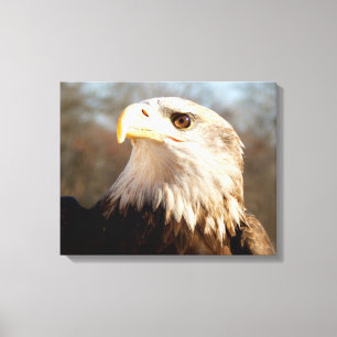 Majestic Bald Eagle Profil Leinwanddruck