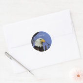 Majestic Bald Eagle Runder Aufkleber (Umschlag)