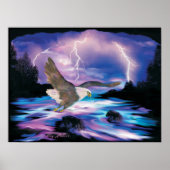 Majestic Bald Eagle Soaring Poster (Vorne)