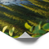 Majestic Bald Eagle: Ungezähmte Wildnis Poster (Ecke)