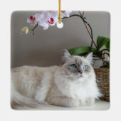 Majestic Balinese Cat Keramikornament (Rückseite)