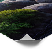 Majestic Bear Catch Poster (Ecke)