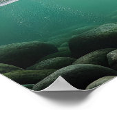 Majestic Bear Catch Poster (Ecke)