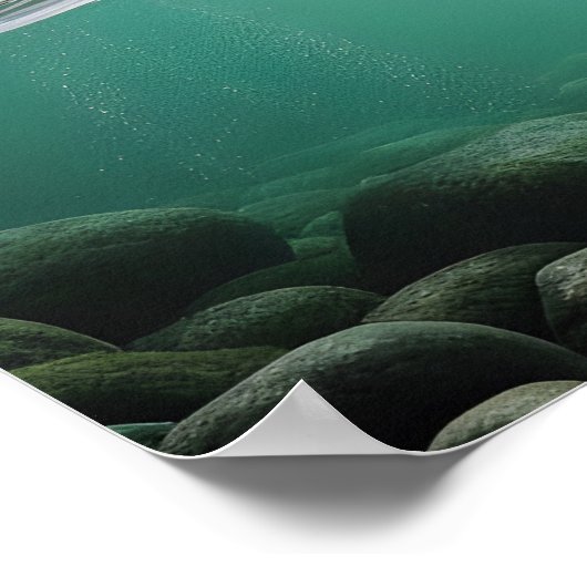 Majestic Bear Catch Poster (Ecke)