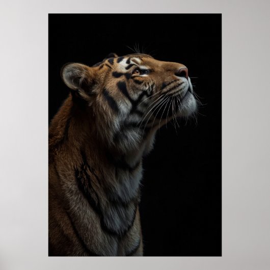 Majestic Bengal Tiger Wildlife Portrait Poster (Vorne)