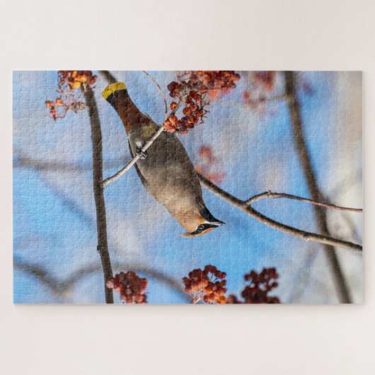 Majestic Bird, kanadischer Bohemischer Waxwing Puzzle (Horizontal)