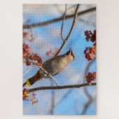 Majestic Bird, kanadischer Bohemischer Waxwing Puzzle (Vertikal)